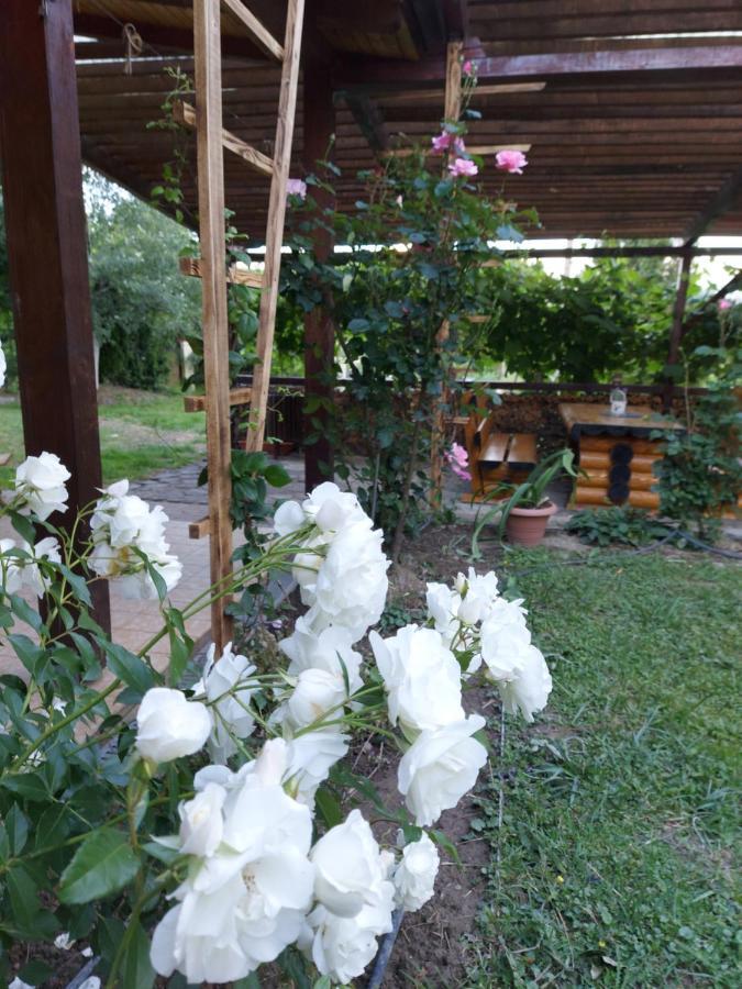 Bed and Breakfast Kolpinghaus Caransebeş Exterior foto