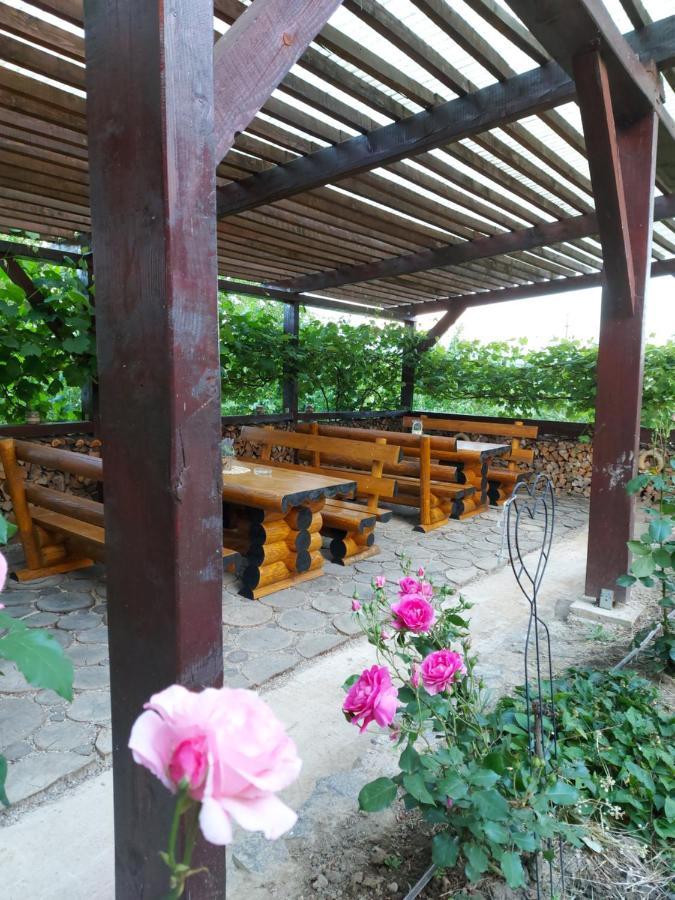 Bed and Breakfast Kolpinghaus Caransebeş Exterior foto